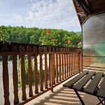 Bed and Breakfast Bagoly-ko Panzio - Matra Turakoezpont Parádsasvár