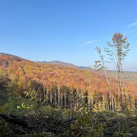 Bagoly-ko Panzio - Matra Turakoezpont Bed and Breakfast