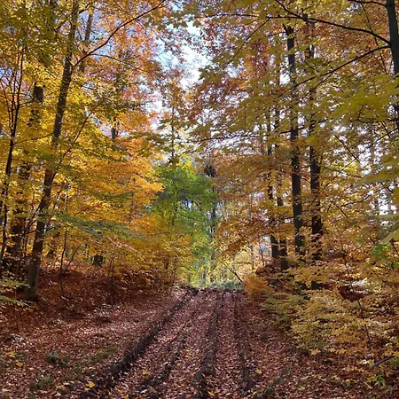 Bed and Breakfast Bagoly-ko Panzio - Matra Turakoezpont