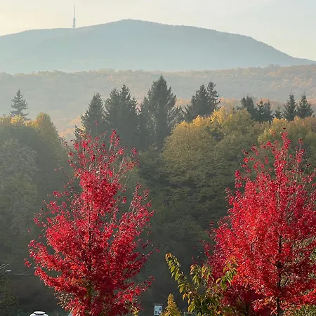 Bagoly-kő Panzió - Mátra Túraközpont Bed & Breakfast 3*