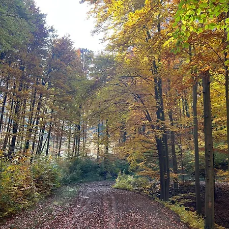 Bagoly-ko Panzio - Matra Turakoezpont Bed and Breakfast Parádsasvár