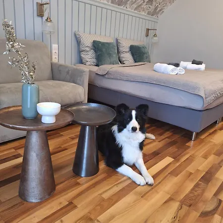 Bed and Breakfast Bagoly-ko Panzio - Matra Turakoezpont