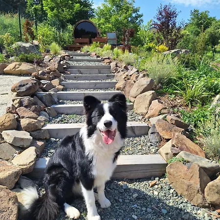 Bagoly-ko Panzio - Matra Turakoezpont Bed and Breakfast 3*