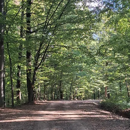 Bagoly-ko Panzio - Matra Turakoezpont 3* Parádsasvár