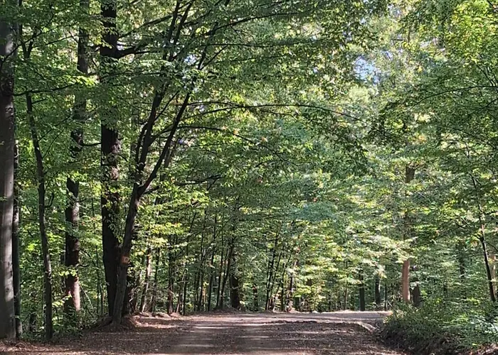 Bagoly-ko Panzio - Matra Turakoezpont 3* Parádsasvár